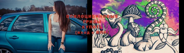 МДПВ Зеленодольск