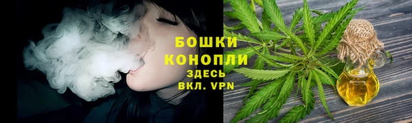 прущие грибы Инсар