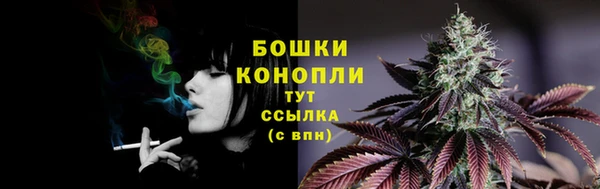 круглые Иннополис