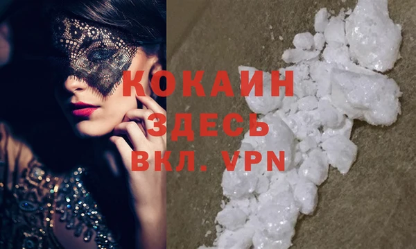 кокс Богородицк