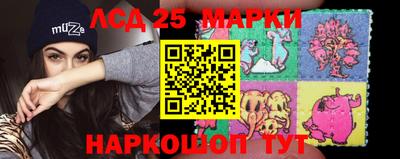 шишки Новокубанск
