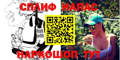 шишки Новокубанск