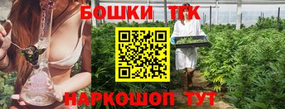 шишки Новокубанск