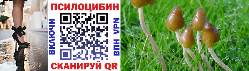 Псилоцибиновые грибы ЛСД  Свободный 