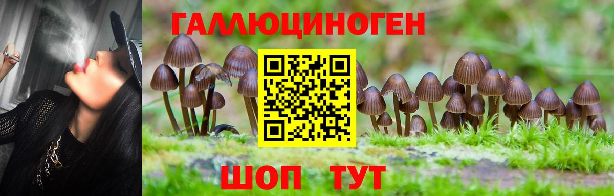 Галлюциногенные грибы Magic Shrooms  Вход с VPN  Свободный  Галлюциногенные грибы Cubensis 
