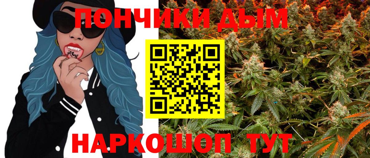 Марихуана сатива Свободный